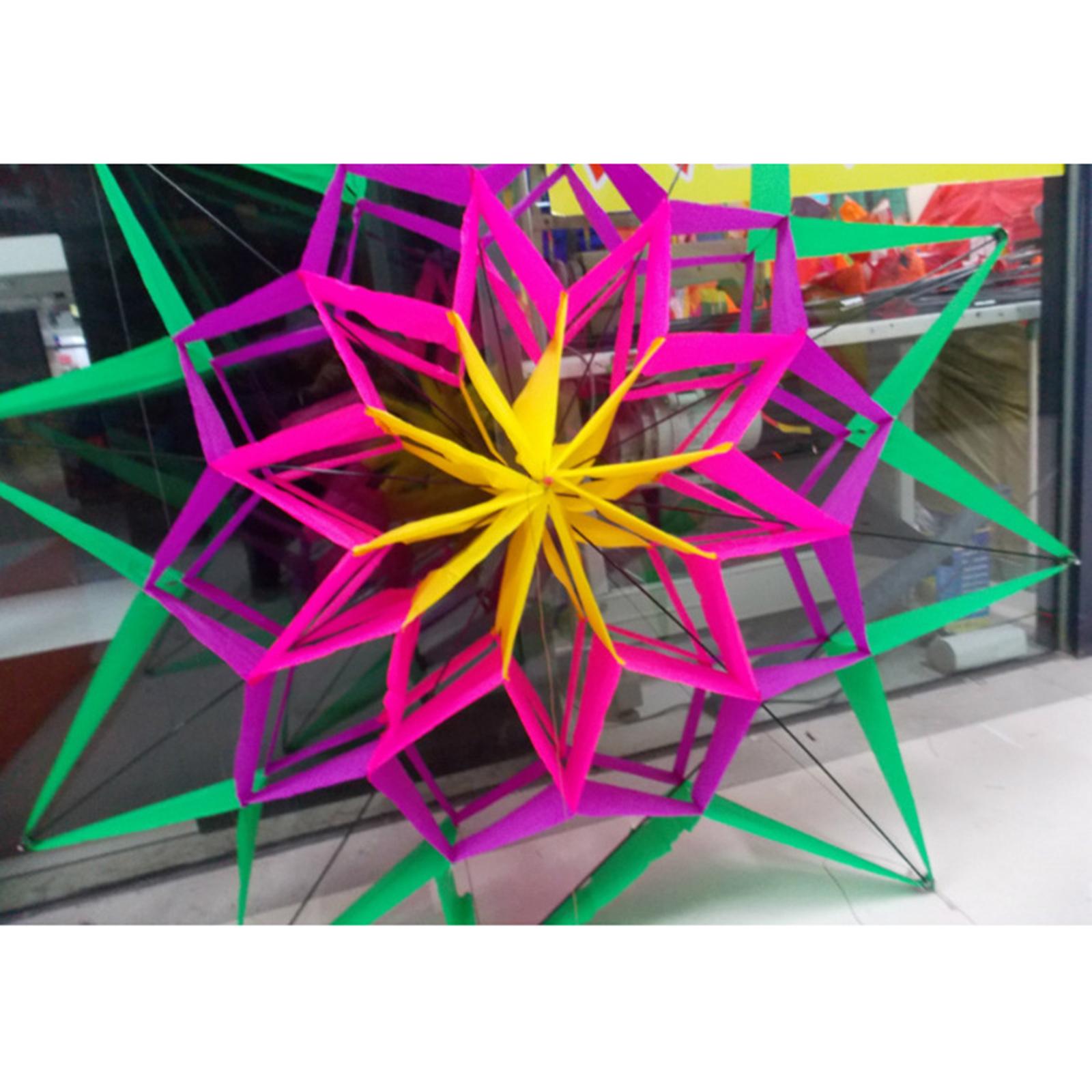 Outdoor Camping Games For Kids - Grote vlieger 3D Plum Kite Lange