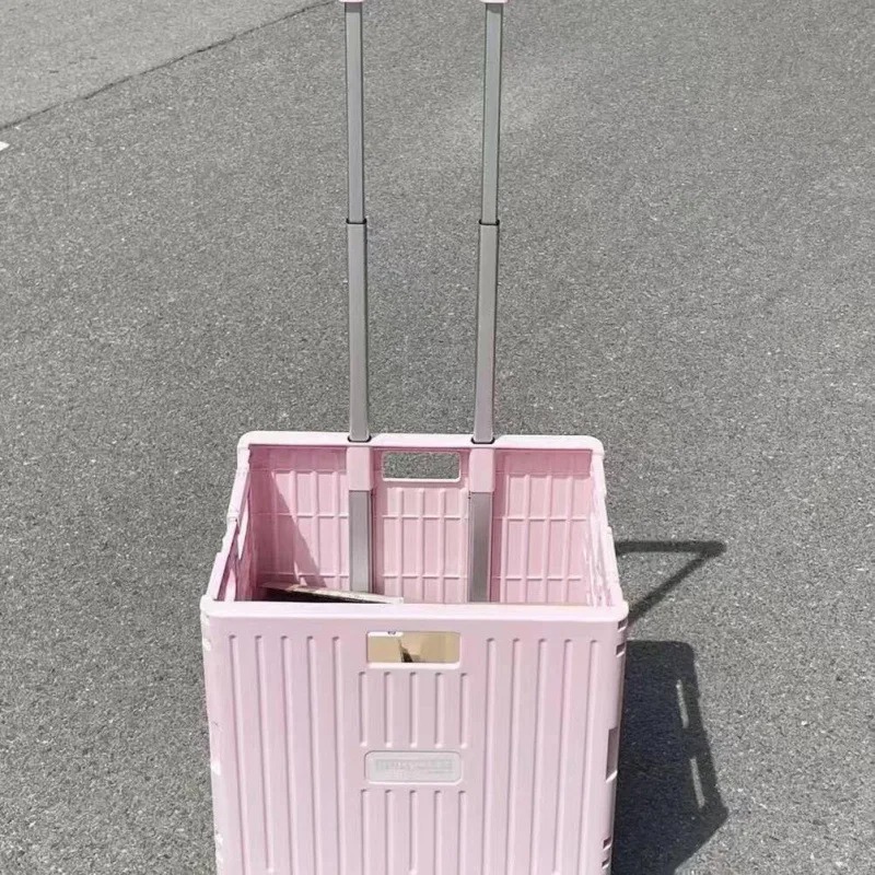 Opvouwbare handige supermarkt  - Outdoor Camping Trolley recensie en prijs